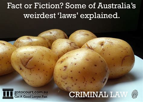 Weird Australian 'Laws' - Fact or Fiction? | Go To Court Lawyers