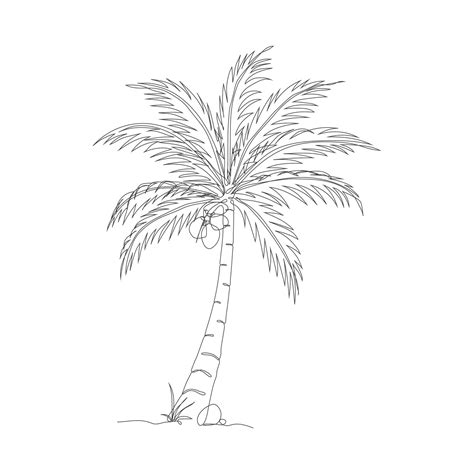 Coconut tree line art drawing. Single continuous line drawing of coconut palm tree. Decorative ...