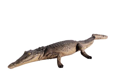 Crocodile Walking 4Ft - World of Decor