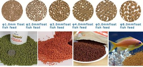 TopFeed Aqua (Floating Feed Pellets for Catfish) - 15kg - Afrimash.com ...