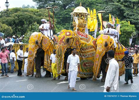 Ceremonial Elephants Prepare To Parade Through The Streets Of Kandy ...