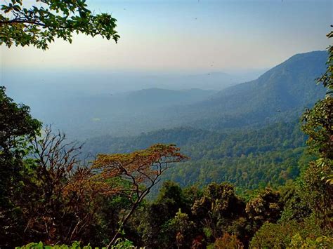 Agumbe, Karnataka | Weather, Ghat, Rainforst, Falls, Trek