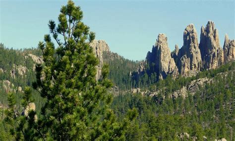 Needles Highway, South Dakota - AllTrips