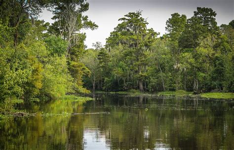 Barataria Bay Is Slowly Slipping Away - Nature World Today