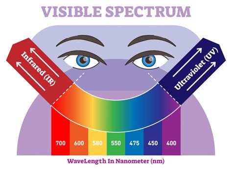 The Visible Spectrum: Overview With Colors Listed in Order of ...