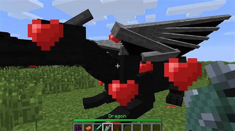 How do you make a baby Ender dragon in Minecraft no mods? - Rankiing Wiki : Facts, Films, Séries ...