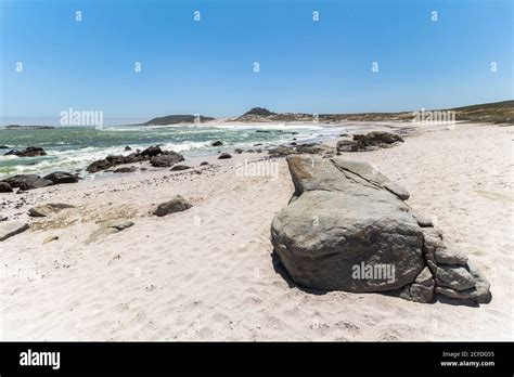 Beach in the West Coast National Park, Western Cape, South Africa Stock ...