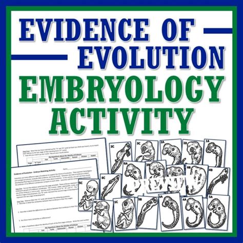 Evidence of Evolution: Embryology Activity - Flying Colors Science