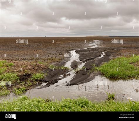 Runoff soil erosion hi-res stock photography and images - Alamy