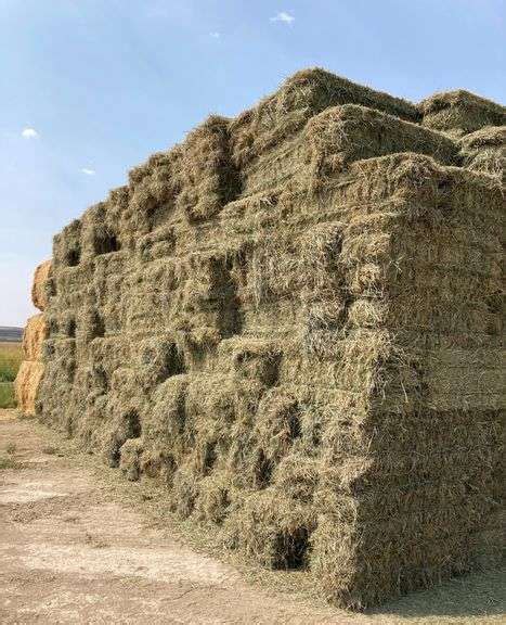 Y-1701 Two String Orchard Grass Hay Bales (25) - Pickett Auction Service