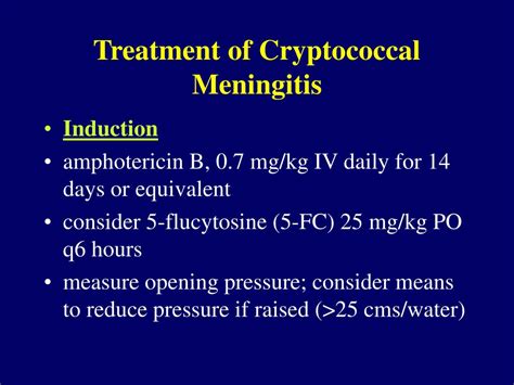 PPT - Fungal Infections in HIV-patients PowerPoint Presentation, free download - ID:343290