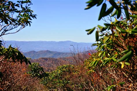 Craggy Gardens in The Fall