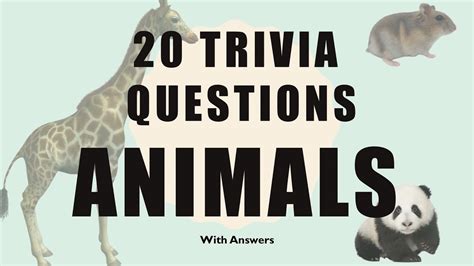 Animal Trivia Questions Hard : Challenge them to a trivia party!