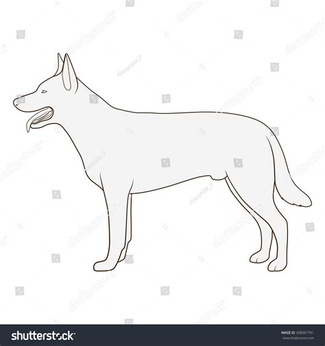 Dog Side View Scheme Silhouette Vector Stock Vector 308067791 - Shutterstock