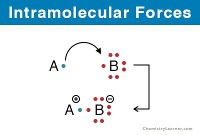 Intramolecular Forces: Definition, Types, and Examples