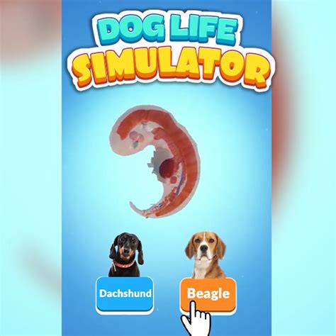 Dog Life Simulator - BoomBit