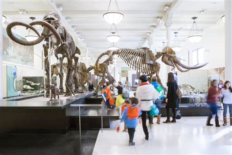 Explore the Wonders of the Universe at NYC’s Natural History Museum