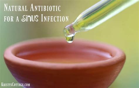 Natural Antibiotic for Sinus Infection - Kristy's Cottage