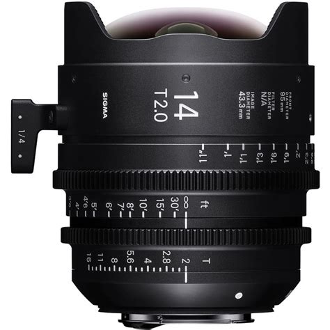 The Best Lenses for the Canon EOS R6 for Video