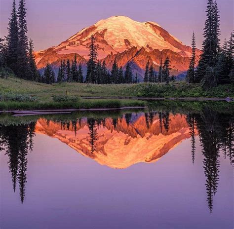 Tipsoo Lake Washington | Sunrise photography, National parks photography, Nature photography