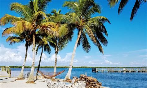 Matlacha, FL 2024: Best Places to Visit - Tripadvisor