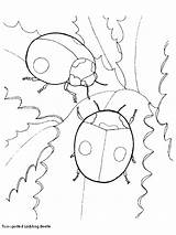beat bugs coloring Pages Best For Kids bug  sketch template