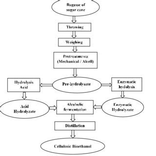 Diagram of bioethanol production from sugarcane bagasse | Download Scientific Diagram