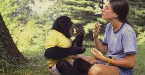 She Reveals Her Baby Died, Now Watch What The Chimp Does. I'm In TEARS! | LittleThings.com