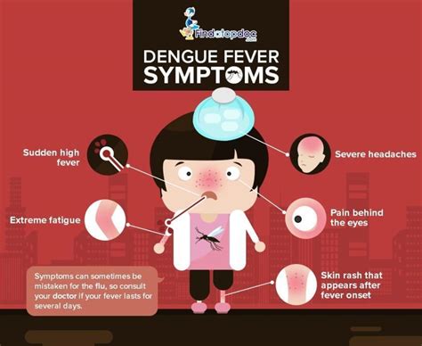 What is Dengue fever? Symptoms of Dengue fever [Infographic]