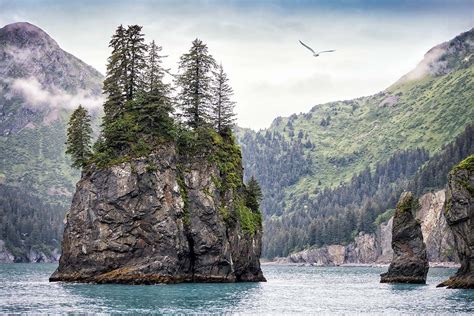 8 Breathtaking Alaska National Parks to Visit this Year - Territory Supply