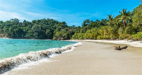 Manuel Antonio Beach: What to Know | Insider Families