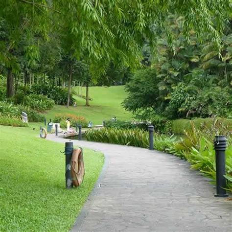 Singapore Botanic Gardens Is One Of Its Best Garden, Park - Singapore Attractions, Places Of ...