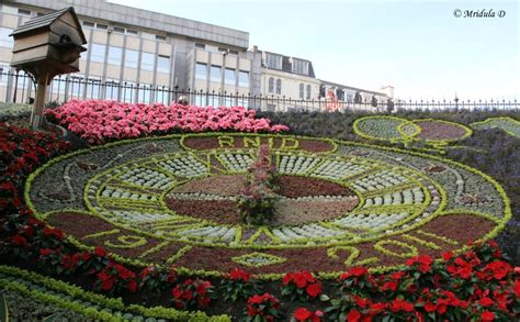 Floral Display by Action on Hearing Loss Charity, Edinburgh, Scotland ...