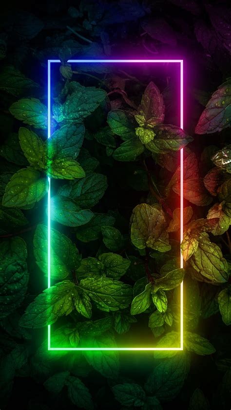 Neon, desenho, green leaves leaves, nature, neon lights, HD phone ...