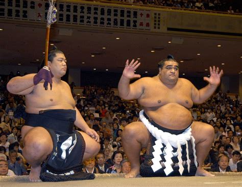 Mid-Michigan afternoon links: Pick up health tips from sumo wrestlers - mlive.com