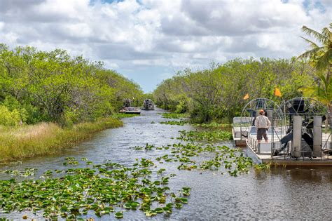 The Best Everglades Tour for Your Next Florida Adventure