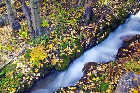 Boulder Brook Autumn Flow - Boulder Brook, Rocky Mountain National Park, Estes Park, Colorado ...