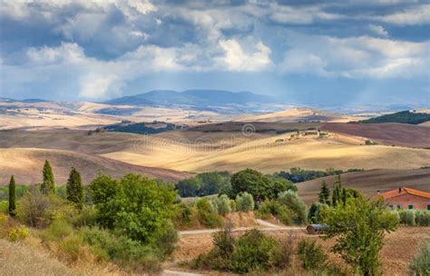 Rural Landscape of Tuscany, Italy. the Fields, Hills and Forest. Agriculture Stock Photo - Image ...