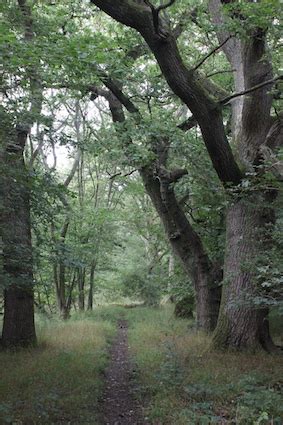 Walk 119: The Lyveden Way…stepping back in history | northamptonshirewalks