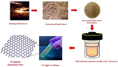 Development of graphene and graphene quantum dots toward biomedical engineering applications: A ...