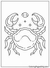 Cancer Zodiac Sign Coloring Pages  Free Printable PDF JPG PNG sketch template