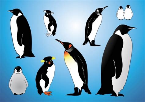 Penguins Vectors Vectors graphic art designs in editable .ai .eps .svg format free and easy ...