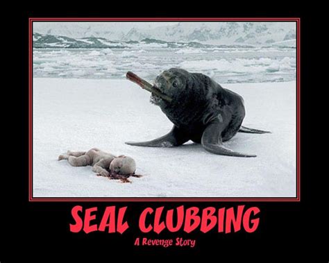 Clubbing Baby Seal Meme - memestund