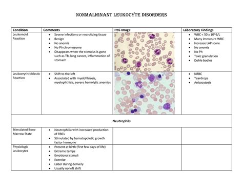 MLS 401 Nonmalignant Leukocyte Disorders Chart - NONMALIGNANT LEUKOCYTE DISORDERS Condition ...