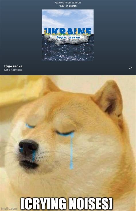 Image tagged in doge crying - Imgflip