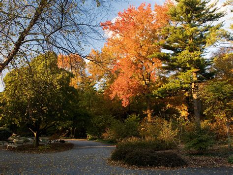 The 10 Best Places to See Fall Foliage in New York State - Photos ...