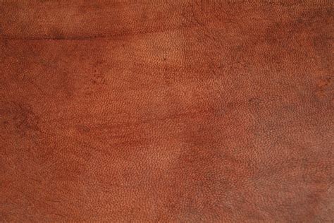 brown leather texture genuine even skin pattern wallpaper - Texture X