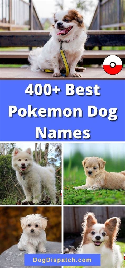 400+ Best Pokemon Dog Names (2022 Updated) - Dog Dispatch