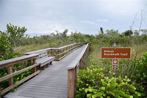 Everglades Hiking - 15 Best Everglades National Park Hiking Trails