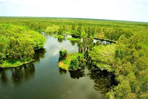 U Minh Thuong National Park - A New Attractive Destination in Kien Giang